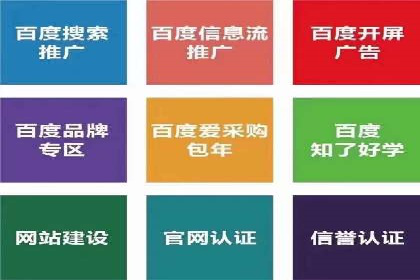 SEM托管服务案例：打造全方位营销解决方案